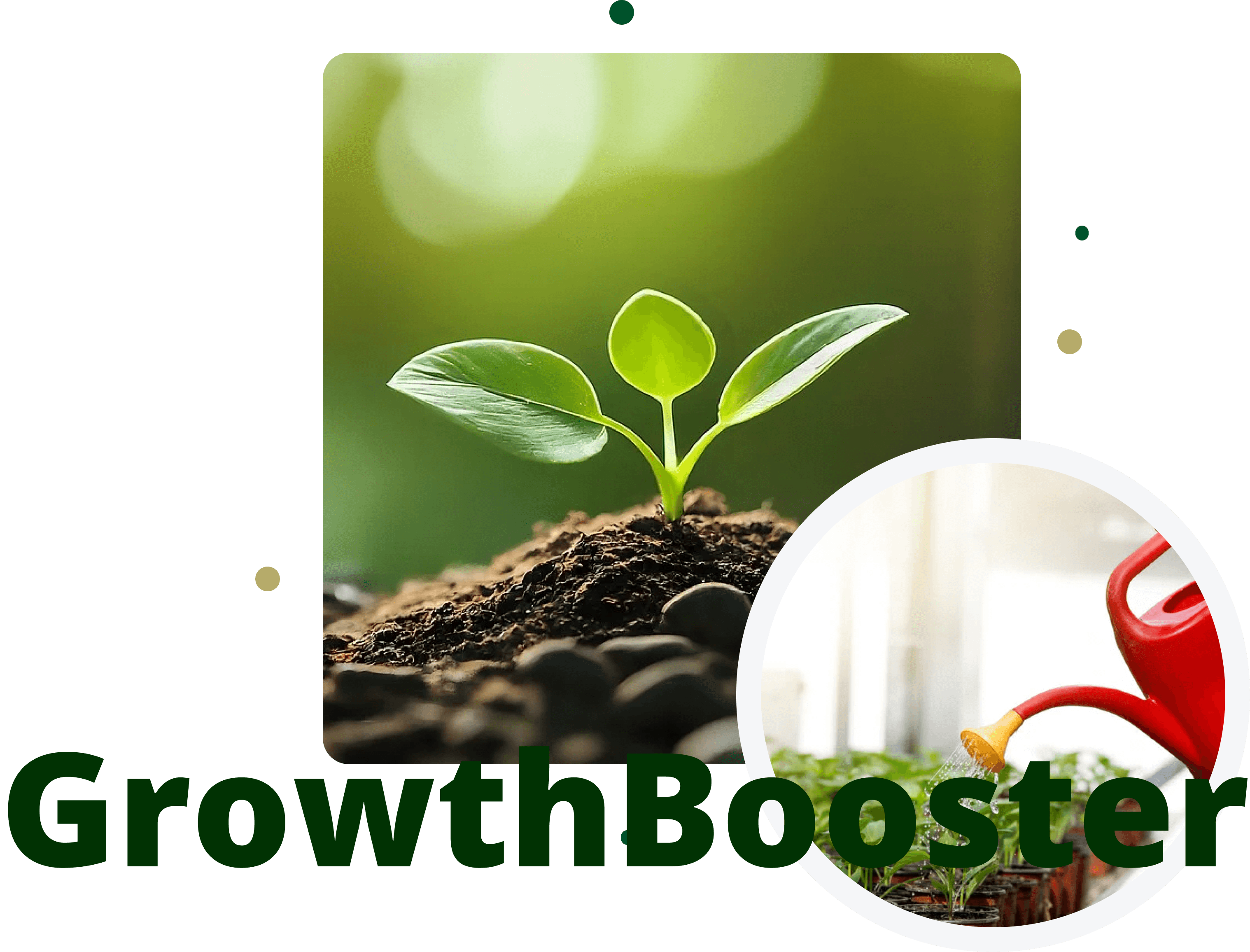Growth Booster