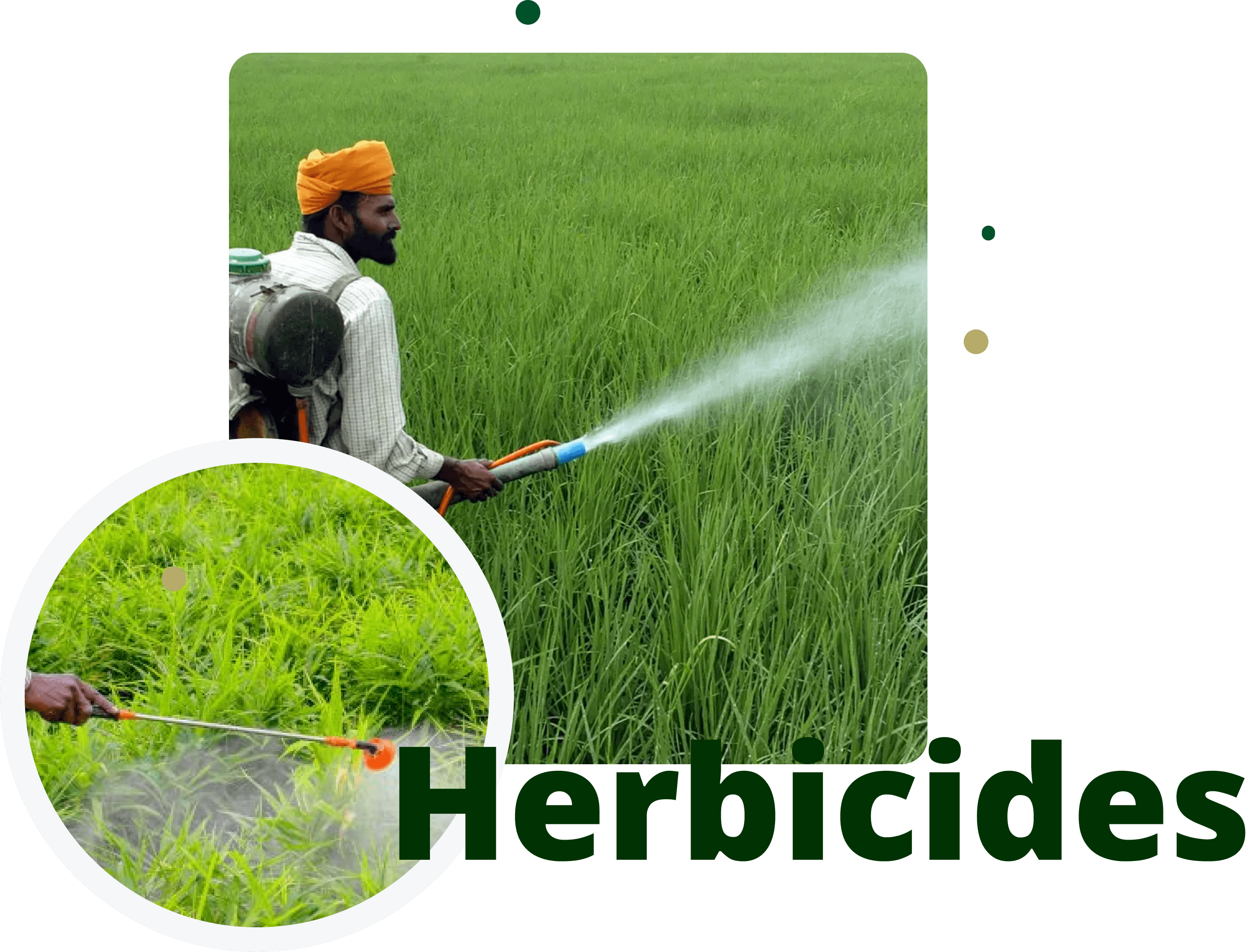 Herbicides 