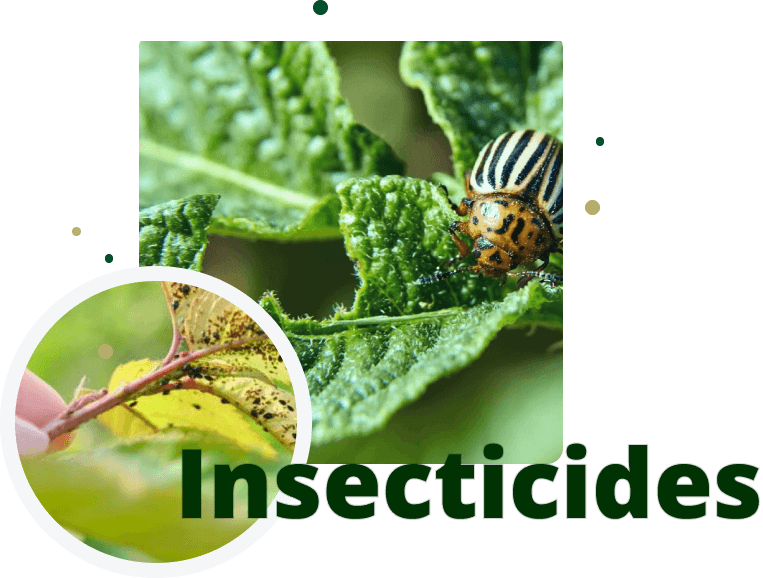 Insecticides
